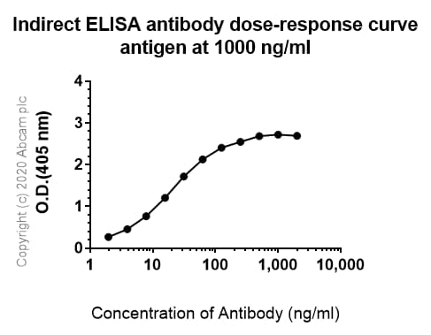 Anti-iNOS antibody [EPR16635](AB178945)