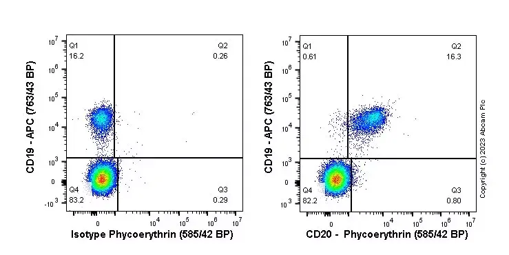 PE Rabbit IgG, monoclonal [EPR25A] - Isotype Control(AB209478)