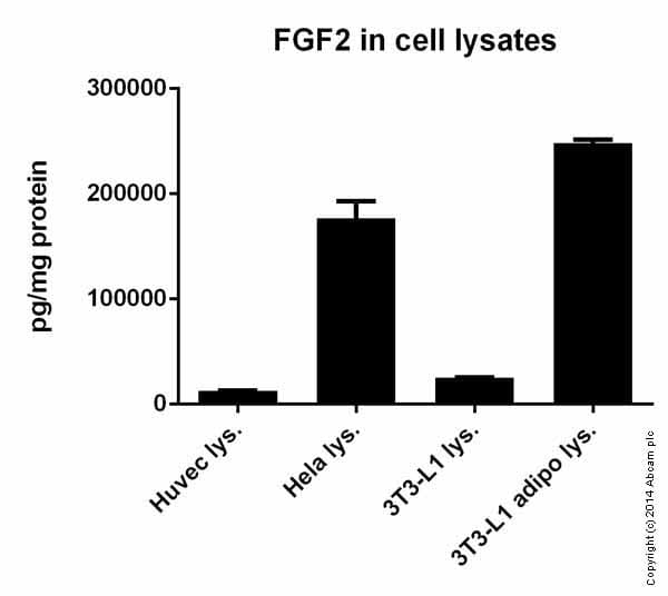 Human FGF basic ELISA Kit (FGF2)(AB99979)
