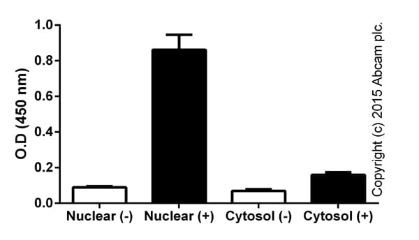 NFkB p65 Transcription Factor Assay Kit(AB133112)