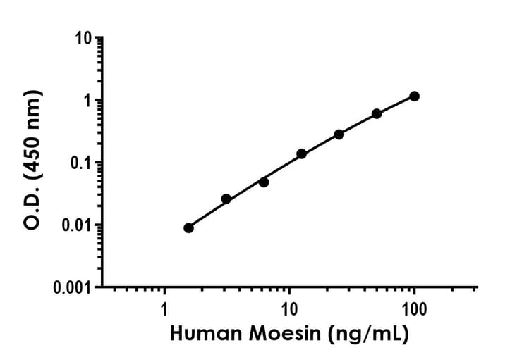 Moesin Antibody Pair Bsa And Azide Free Ab253768  Sandwich Elisa Img429552