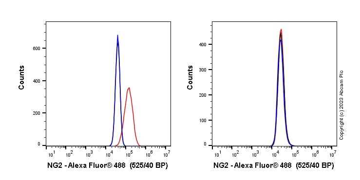 Anti-NG2 antibody [EPR23976-145] - BSA and Azide free(AB275038)