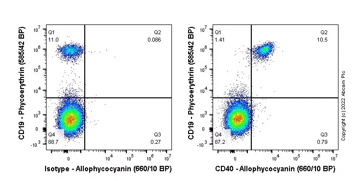 APC Rabbit IgG, monoclonal [EPR25A] - Isotype Control(AB232814)