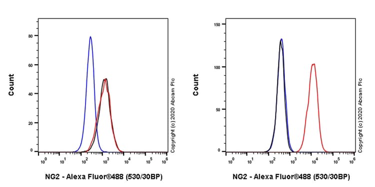 Anti-NG2 antibody [EPR23752-147] - BSA and Azide free(AB275041)