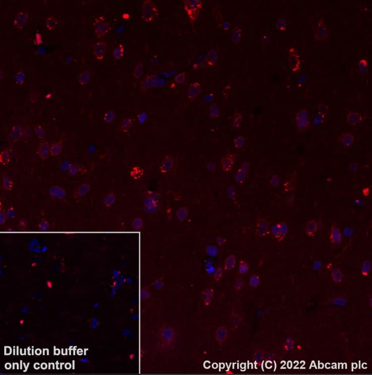 Antigen Retrieval Buffer (100X Tris-EDTA Buffer, pH 9.0)(AB93684)