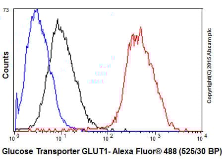 Anti-Glucose Transporter GLUT1 antibody [EPR3915] - BSA and Azide free(AB252403)