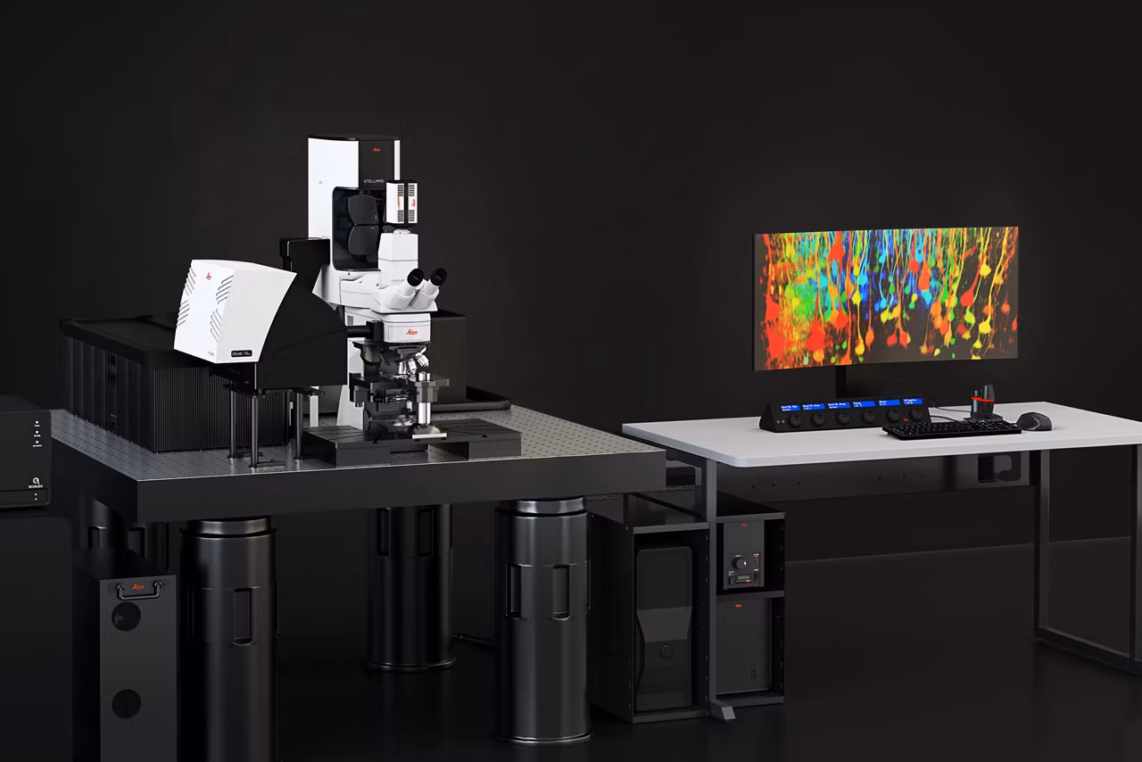 STELLARIS DIVE Multiphoton Microscope