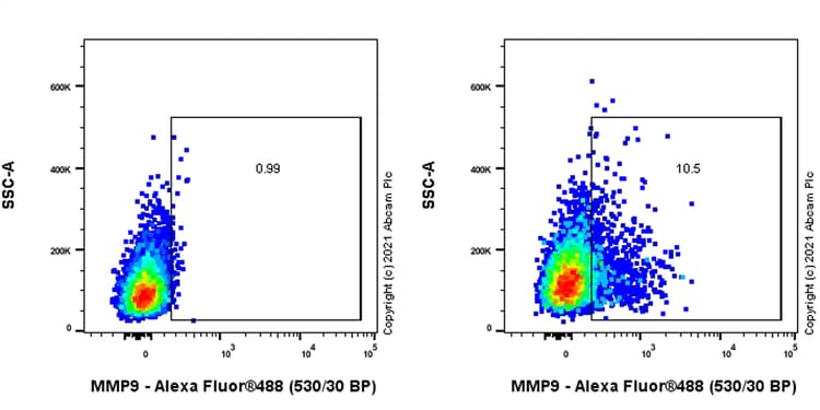Anti-MMP9 antibody [RM1020](AB283575)