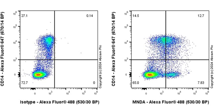 Anti-MNDA antibody [EPR28267-44] - BSA and Azide free(AB316968)