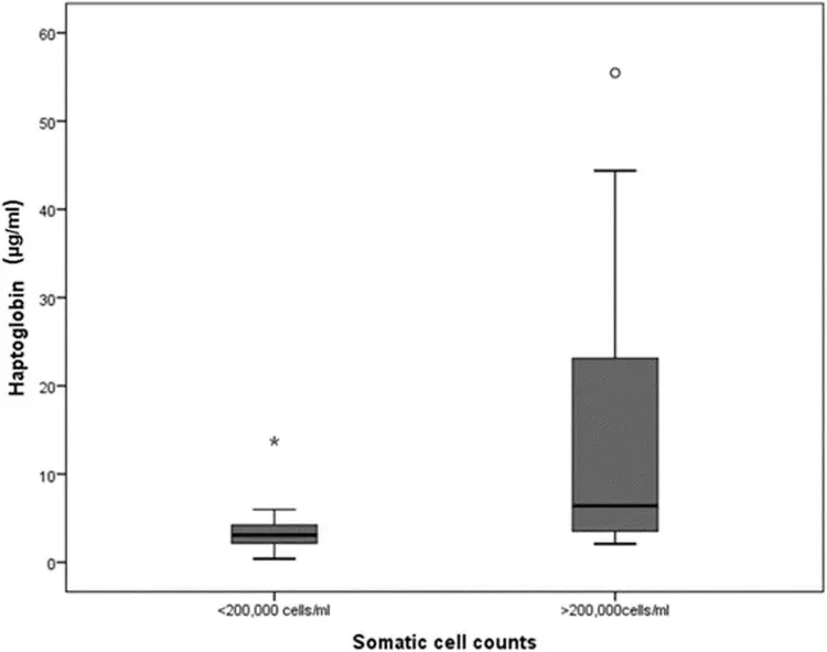 Alkaline phosphatase Conjugation Kit - Lightning-Link®(AB102850)