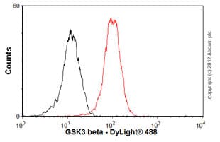 Anti-GSK3 beta antibody [3D10](AB93926)