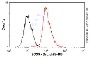 Anti-SOX9 antibody [3C10] - BSA and Azide free(AB76997)