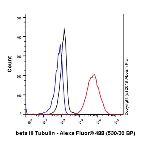 Anti-beta III Tubulin antibody [EP1569Y] - Neuronal Marker(AB52623)