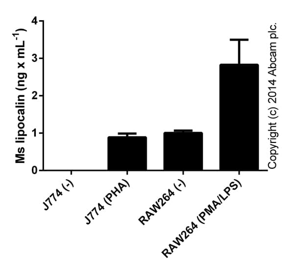 Mouse Lipocalin-2 ELISA Kit (NGAL)(AB119601)