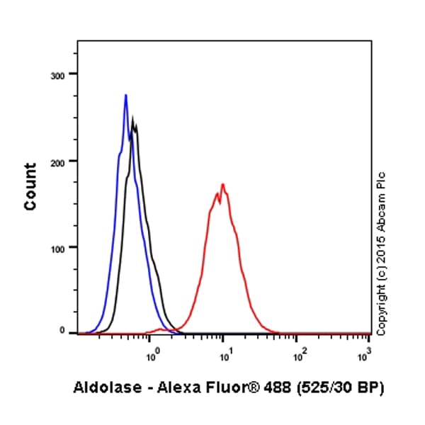 Alexa Fluor® 488 Anti-Aldolase + Aldolase B + Aldolase C antibody [EPR9724(B)](AB200771)