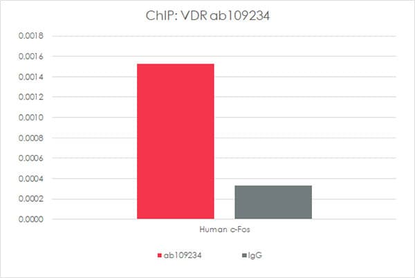Anti-Vitamin D Receptor antibody [EPR4552] - ChIP Grade(AB109234)