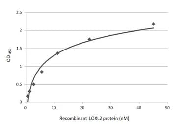 Loxl2 Antibody Ab96233  Indirect Elisa Img443703