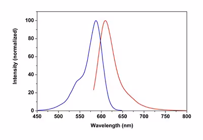 Phalloidin Ifluor 594 Reagent Ab176757 Fluorescence Microscopy Img26372