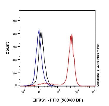 Rabbit IgG, monoclonal [EPR25A] - Isotype Control - BSA and Azide Free(AB210849)