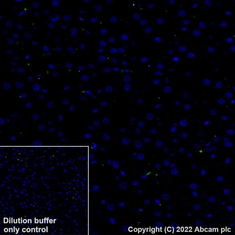 Antigen Retrieval Buffer (100X Tris-EDTA Buffer, pH 9.0)(AB93684)