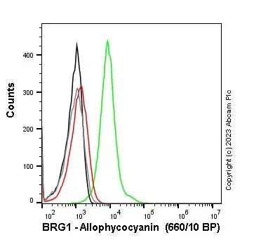 APC Rabbit IgG, monoclonal [EPR25A] - Isotype Control(AB232814)