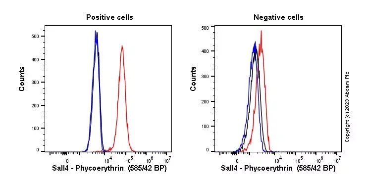 PE Rabbit IgG, monoclonal [EPR25A] - Isotype Control(AB209478)