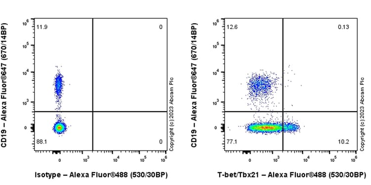 Alexa Fluor® 488 Rabbit IgG, monoclonal [EPR25A] - Isotype Control(AB199091)