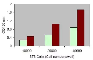 LDH Assay Kit (Cytotoxicity)(AB65393)
