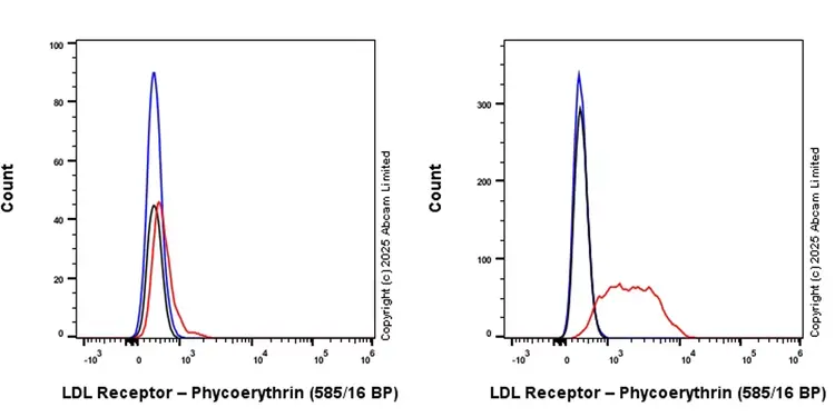 PE Rabbit IgG, monoclonal [EPR25A] - Isotype Control(AB209478)
