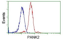 Pank2 Antibody Oti3h9 Ab119070  Flow Cytometry Intracellular Img58088