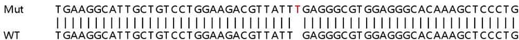 Ab258930  Sanger Sequencing Img411403