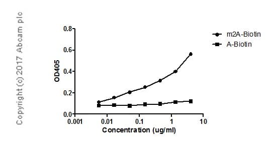 2 Methyladenosine M2a Antibody Epr 19851 59 Bsa And Azide Free Ab251530  Elisa Img122066
