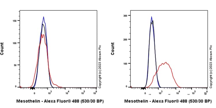 Alexa Fluor® 488 Rabbit IgG, monoclonal [EPR25A] - Isotype Control(AB199091)