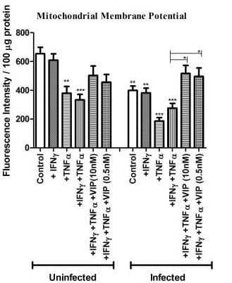 TMRE-Mitochondrial Membrane Potential Assay Kit(AB113852)