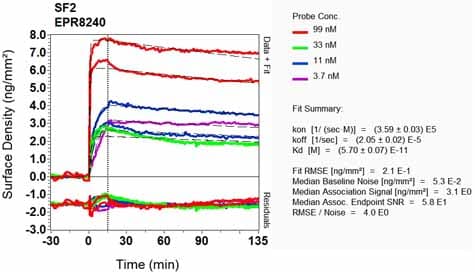 Anti-SF2 antibody [EPR8240](AB133689)