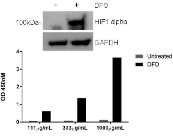 Human HIF-1 alpha ELISA Kit(AB171577)