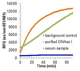 DNase I Assay Kit (Fluorometric)(AB234056)