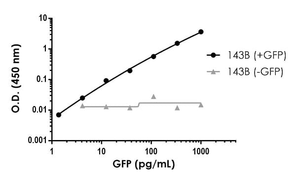 GFP ELISA Kit, Fluorescent(AB229403)