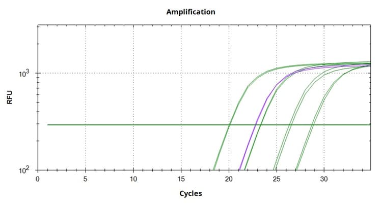 Lentivirus qPCR Quantification Kit(AB289841)