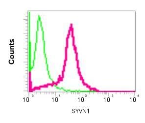 Syvn1 Hrd1 Antibody Ep7459 Bsa And Azide Free Ab249578  Flow Cytometry Intracellular Img39719