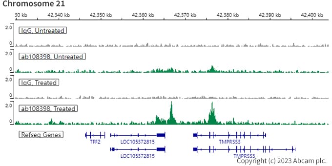 Anti-Estrogen Receptor alpha antibody [EPR4097](AB108398)