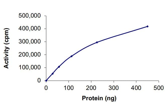 Recombinant human c-Kit (mutated D816V) protein(ab268415)