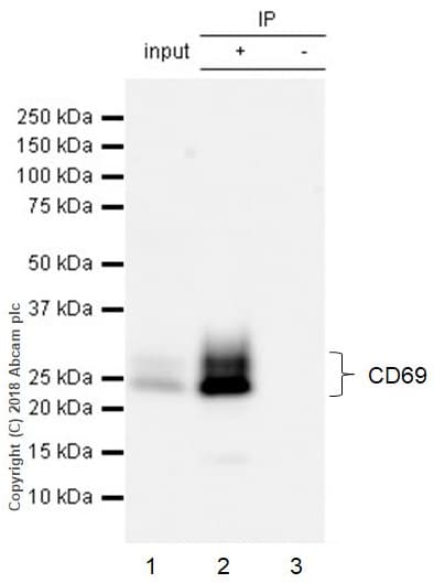 Phorbol 12-myristate 13-acetate (PMA), PKC activator(AB120297)