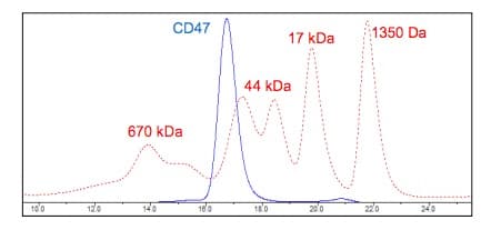 Ab216207  Size Exclusion Chromatography Img12592