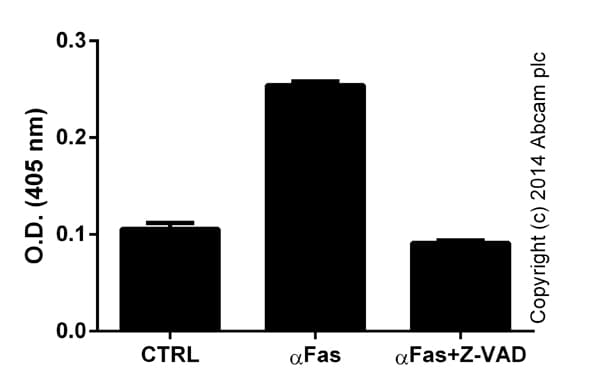 Caspase 8 Assay Kit Colorimetric Ab39700  Functional Studies Img52270