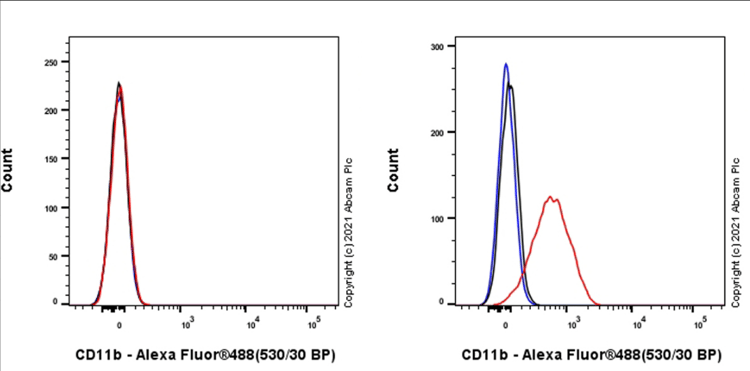 Anti-CD11b antibody [M1/70](AB8878)