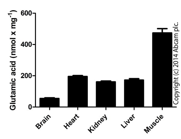 Glutamate Assay Kit (Fluorometric)(AB138883)