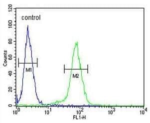 Anti-Claudin 8 antibody(AB211439)