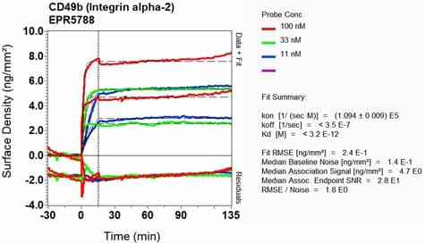 Anti-Integrin alpha 2 antibody [EPR5788](AB133557)
