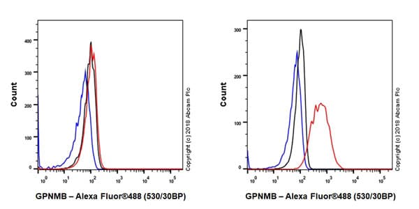 Gpnmb Antibody Epr18226 147 Bsa And Azide Free Ab234529  Flow Cytometry Intracellular Img13171